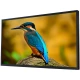 Телевизор влагостойкий Avel, Smart Ultra HD, 55