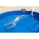 Противоток навесной AquaJet 50, 50 м3/ч, 1,5 кВт, 220 В  (пневмокнопка, подсветка, поворотная форсунка) – арт. 3EXB0038