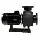 Насос без префильтра Hayward KTB1000 T2.B, 108 м3/ч при 16 м, 8,7 кВт, 380 В, фланец, IE3 – арт. HCP111003E