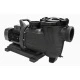 Насос с префильтром Pool King SLP, 30-48 м³/ч (12-8 м),  2,2 кВт, 220 В – арт. SLP300
