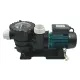 Насос с префильтром Pool King STP200, 1,5 кВт, 23,8 м³/час, 220 В – арт. STP200