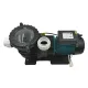 Насос с префильтром Pool King STP200, 1,5 кВт, 23,8 м³/час, 220 В – арт. STP200